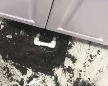 巨鹿查漏水哪家好